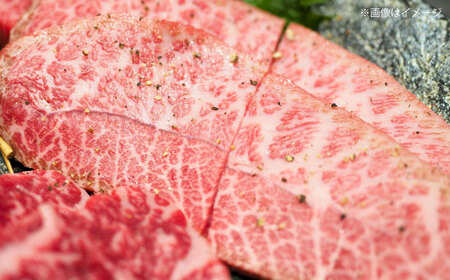 【全12回定期便】【厳選希少部位】A4ランク以上】博多和牛ミスジステーキ 約1kg（100ｇ×10ｐ）桂川町/株式会社MEAT PLUS [ADAQ113] 