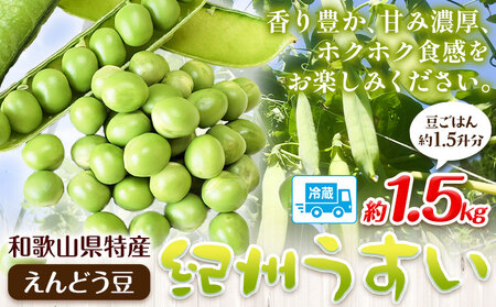 うすいえんどう豆 約1.5kg《5月下旬-6月下旬頃出荷》