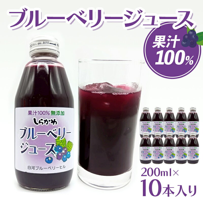 【ふるさと納税】無添加ブルーベリージュース 果汁100％ 10本入り 果実飲料 ジュース 飲料 果物 くだもの 白河 F24R-223