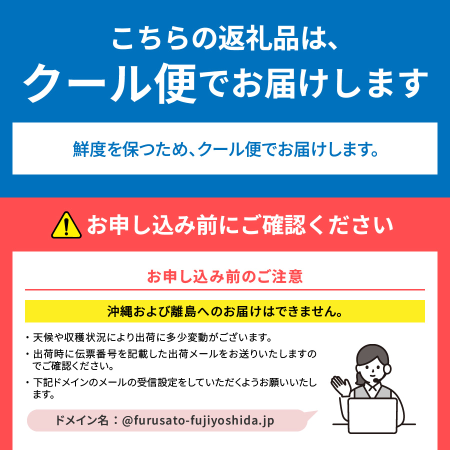 【2025年先行予約】【2回お届け！】山梨県産 桃 約2kg×2回配送 食べ比べ定期便