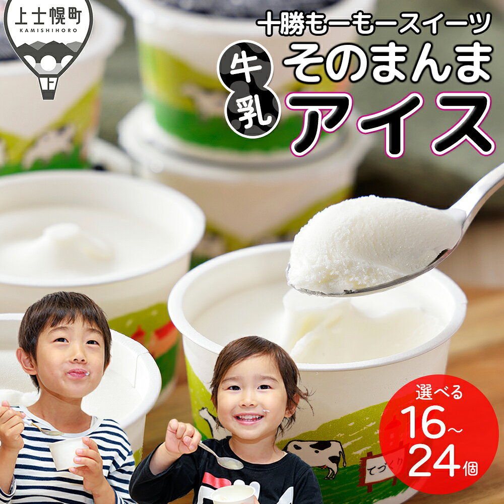 十勝もーもースイーツ 牛乳そのまんまアイス 80ml×27個