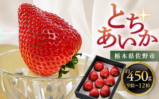 
栃木県 いちご 新品種＜とちあいか＞ 9粒～12粒 約450g【1258710】

