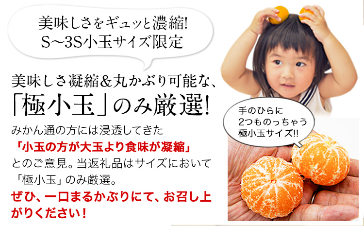 訳あり みかん 小玉みかん くまもと小玉みかん 5kg (2.5kg×2箱) 2ヶ月定期便 秋 旬 不揃い 傷 ご家庭用 SDGs 小玉 たっぷり 熊本県 産 S-3Sサイズ フルーツ 旬 柑橘 長洲
