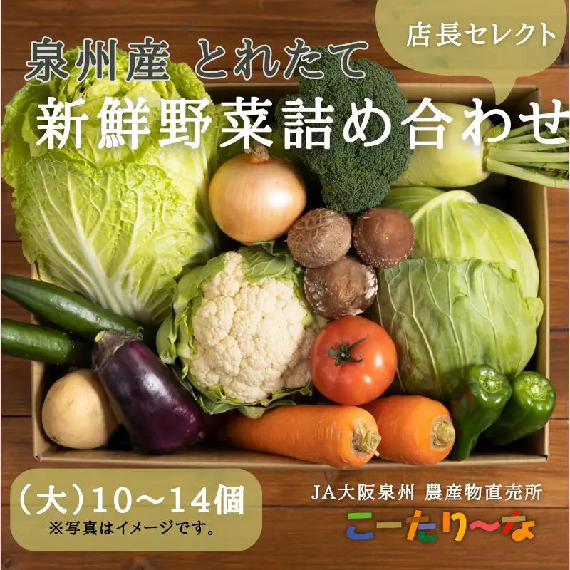 JA大阪泉州 直売所店長セレクト 新鮮野菜セット10～14個