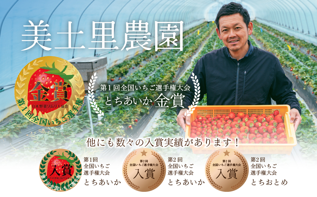 【先行受付：3月以降発送】いちご 「茂木完熟いちご」　美土里農園の朝採れ とちおとめ レギュラーサイズ 約270g×2パック 合計 約540g | いちご イチゴ 苺  とちおとめ 完熟 甘い あまい