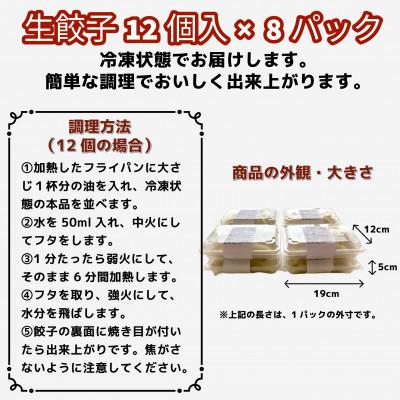 ふるさと納税 福岡市 【福岡市】蒋さんの焼き餃子(生)12個×8パック KR11 |  | 03