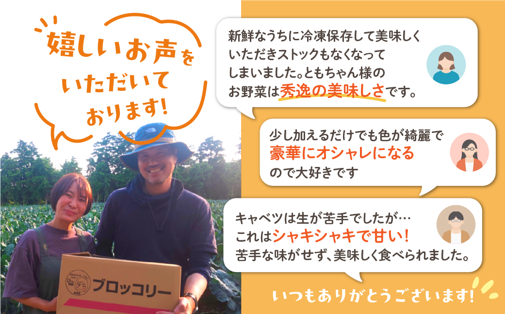 旬のキャベツ 6玉 7回お届け 定期便 ミネラルたっぷり 海風そだち 潮風 豊橋 国産 家族で 大容量 ともちゃんのやさい 大人気！ 愛知県 豊橋市 安心野菜 キャベツ 冬キャベツ 春キャベツ 初夏キ