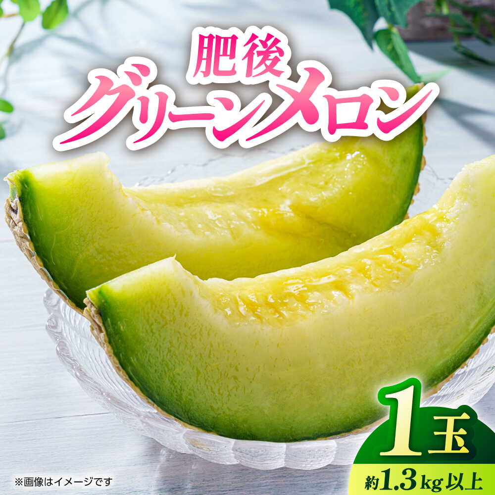 【ふるさと納税】【先行予約】肥後グリーン 1玉【くまふる】[ZBG022]