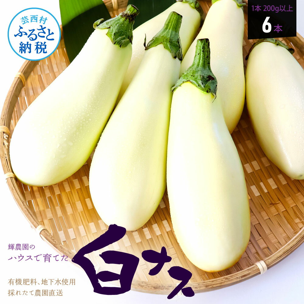 【ふるさと納税】【先行予約】白ナス6本 なす 茄子 1本200g以上 野菜 新鮮 美味しい グラタン シチュー ラタトゥイユ 洋食 和食 料理 お取り寄せ ふるさとのうぜい 故郷納税 5000円 返礼品 高知県 高知