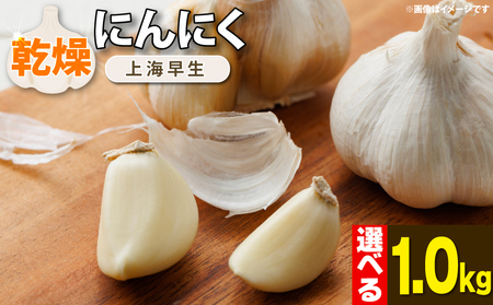 にんにく 乾燥 国産 1kg 【先行予約】保存食 乾燥にんにく