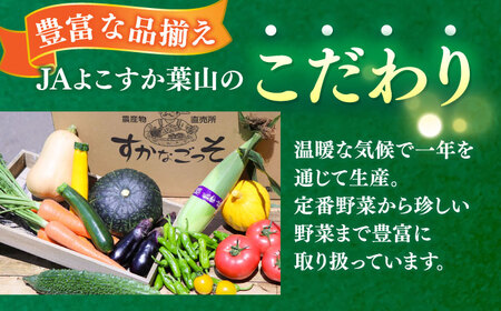 【全3回定期便】よこすか野菜セット すかなボックス 【JAよこすか葉山】 [AKFO007]