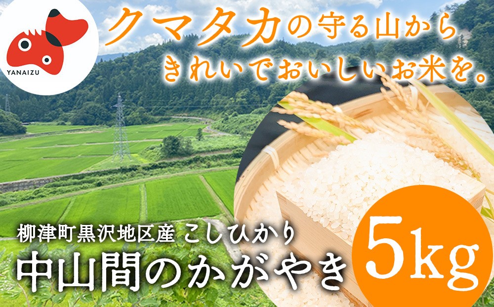
                  ＜令和7年産先行受付＞柳津町黒沢地区産こしひかり「中山間のかがやき」5kg 〈10月末より順次発送〉【1535163】
                