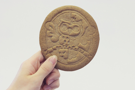 アウル∞珈琲 ギフトBセット｜ドリップパック＆サブレセット 自家焙煎 コーヒー [0439]