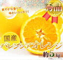 【ふるさと納税】秀品 希少な国産バレンシアオレンジ 5kg【2025年6月下旬頃～2025年7月上旬頃に順次発送】【UT76】 | 和歌山 返礼品 支援 お取り寄せ ご当地 オレンジ みかん ミカン 特産品 名産品 果物 くだもの フルーツ かんきつ類 果実 お礼の品 楽天ふるさと 納税