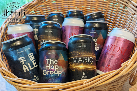 うちゅうブルーイング クラフトビール セット 4種 12本 350ml 宇宙ビール うちゅうビール 飲み比べ 八ヶ岳 せんのや 送料無料