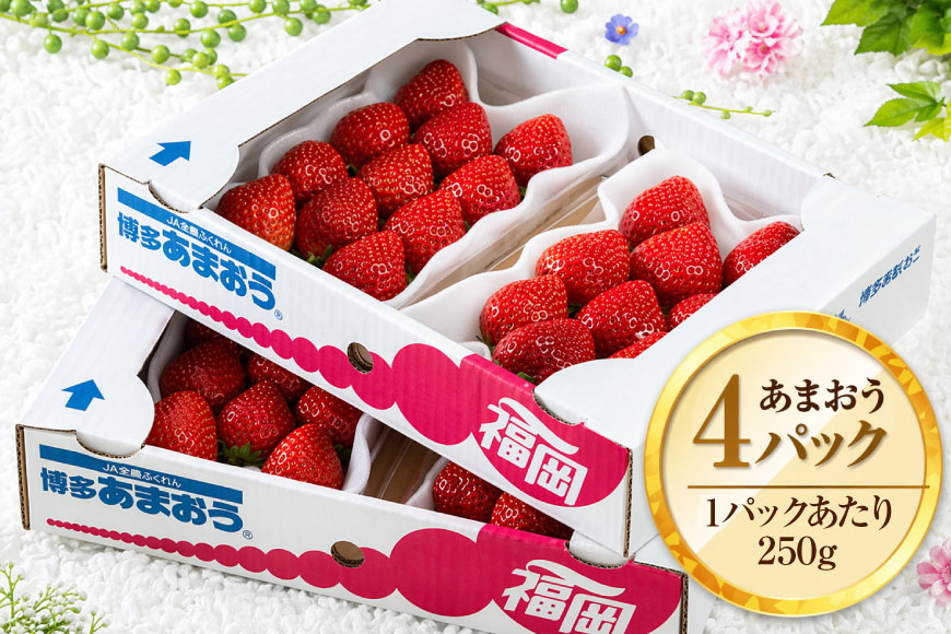 いちご あまおう 福岡産 春 4パック 【期間限定発送】 [南国フルーツ 福岡県 宇美町 um40azo970041] 先行予約 イチゴ 苺 フルーツ 果物 果実 甘い 小分け あまい