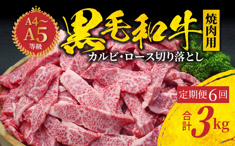 
S001-026-T06_【定期便6回】黒毛和牛 焼肉 カルビ ロース 切り落とし 500g A4～A5 6ヵ月連続お届け
