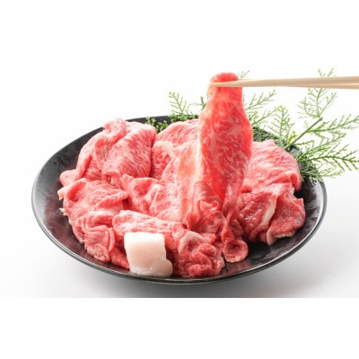 【毎月定期便】【訳あり】飛騨牛5等級　切り落とし用途いろいろ　500g全3回【配送不可地域：離島】