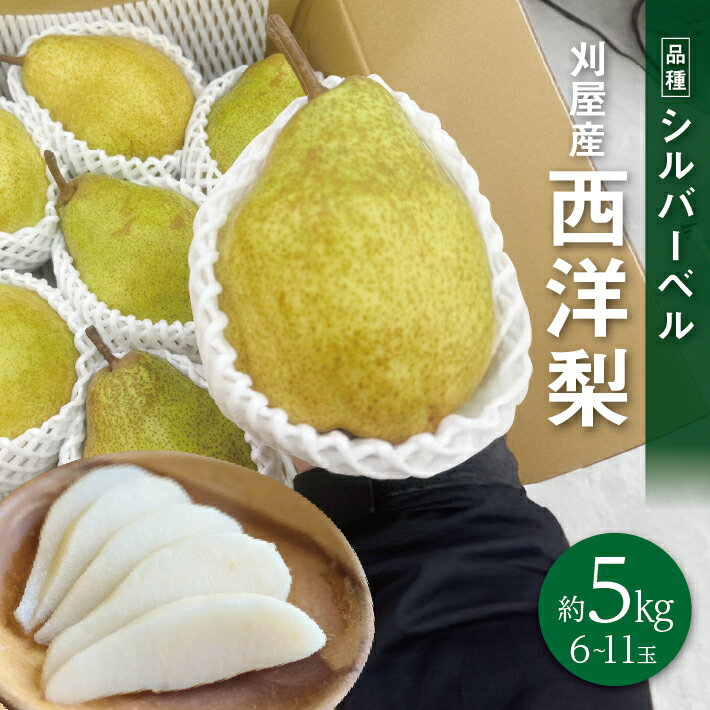 【ふるさと納税】刈屋産 西洋梨 シルバーベル 約5kg 6～11玉入 12月上旬〜12月中旬頃お届け ※着日指定不可 洋梨 洋ナシ 洋なし 果物 フルーツ 東北 山形県 酒田市 庄内 秋
