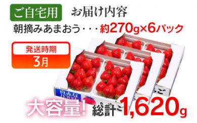 《先行予約》朝摘みあまおう約270g×6パック ※2027年3月中順次出荷予定 BD05
