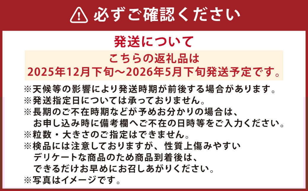 『まるでフルーツのような特選ミニトマト』 約3kg