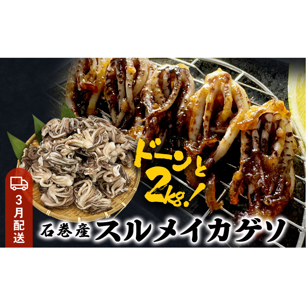 【3月配送】訳あり 石巻産スルメイカゲソ 2kg 冷凍 国産 いか 下足 おつまみ ゲソ天 焼イカ おかず