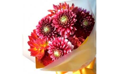 《12ヵ月定期便》 ダリア 花束 初回花瓶付 定期便 定期コース 全12回 延命剤付き ラッピング 花びん 生花 花束 ブーケ 花 お花 おすすめ 可愛い キレイ おしゃれ 自宅 職場 ギフト