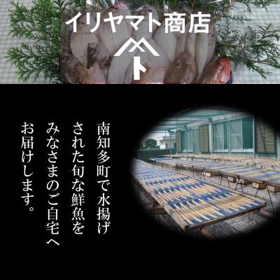 ふるさと納税 南知多町 豊浜漁港で水揚げした鮮魚詰め合わせ |  | 01