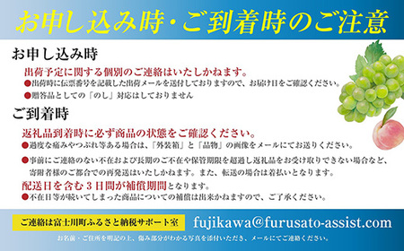 【2026年発送分】【数量限定】【やまなしフルーツ定期便（３回）】 貴陽（すもも）（６-９玉）＆シャインマスカット（２kg前後・３-４房）＆ラ・フランス（1.5kg以上・３-５玉）　定期便　果物 フル