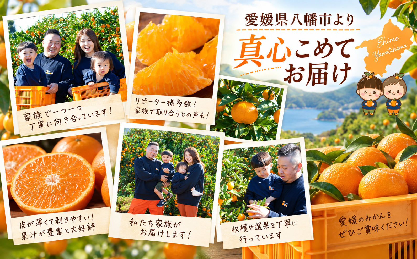 【先行受付】【香る柑橘】とろける甘み【はれひめ】【極】4kg【C49-81】【1621793】 YWTZ066