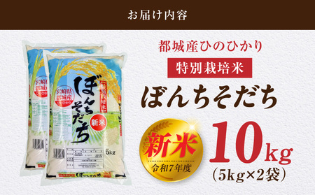 都城産ひのひかり特別栽培米「ぼんちそだち」10kg(5kg×2袋)_31-N501_(都城市) 都城産 お米 10kg 5kg×2 ひのひかり ぼんちそだち