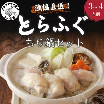 ふるさと納税 松浦市 漁協直送 とらふぐちり鍋セット3〜4人前