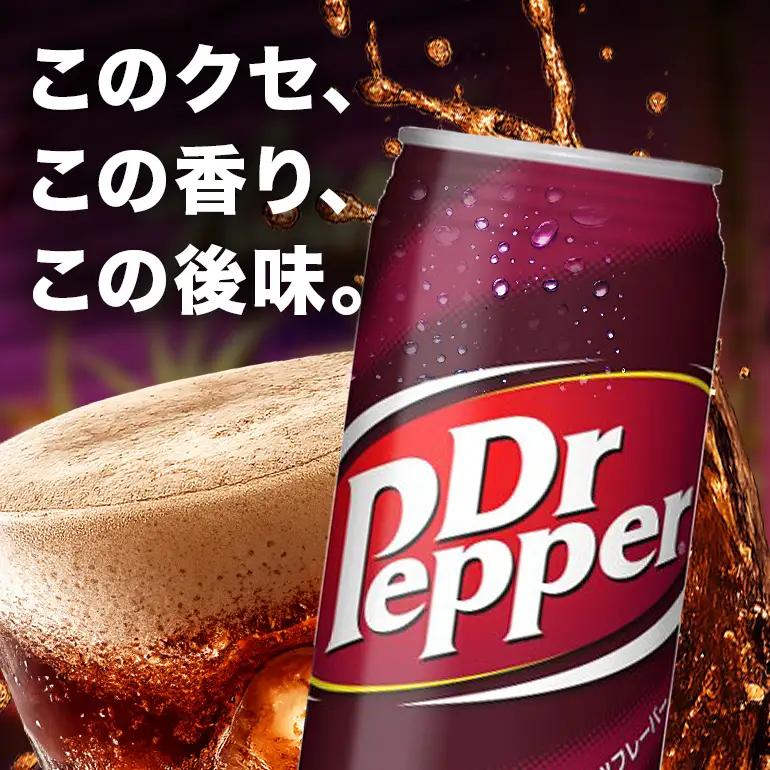 ドクターペッパー 　500ml×24本｜ドクターペッパー AY09