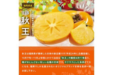 ＜先行予約受付中！2026年10月下旬～11月下旬に順次発送予定＞甘柿 秋王( 約1.5kg箱・4-6玉)＜離島配送不可＞【ksg0122】【南国フルーツ】