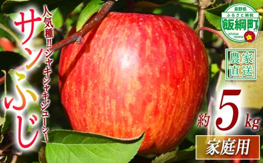 りんご サンふじ 家庭用 5kg マルカズりんご農園 沖縄県への配送不可 2026年11月下旬頃から2026年12月下旬頃まで順次発送予定 令和8年度収穫分 信州 果物 フルーツ リンゴ 林檎 長野 予約 農家直送 長野県 飯綱町 [0951]