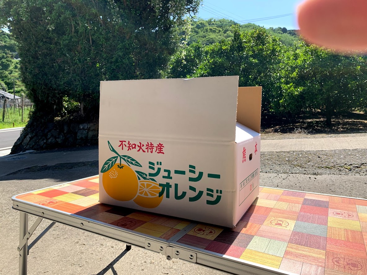 宇城市産ジューシーオレンジ 約10kg 20玉前後【吉良果樹園】【5月上旬から8月下旬発送予定】