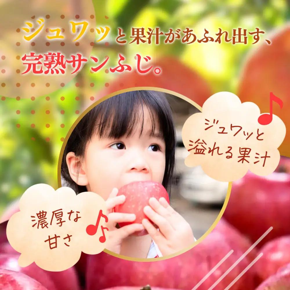 【11月下旬発送 先行予約】樹上熟成　サンふじ 3kg | りんご サンふじ 樹上熟成 糖度