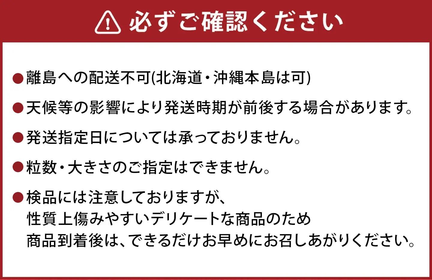 【先行予約】紅ほっぺ 3箱 6パック（合計1,620g以上） ※2027年2月～発送 | いちご 苺 フルーツ 果物 くだもの 果実 完熟 冷蔵 守谷市産 茨城県 守谷市