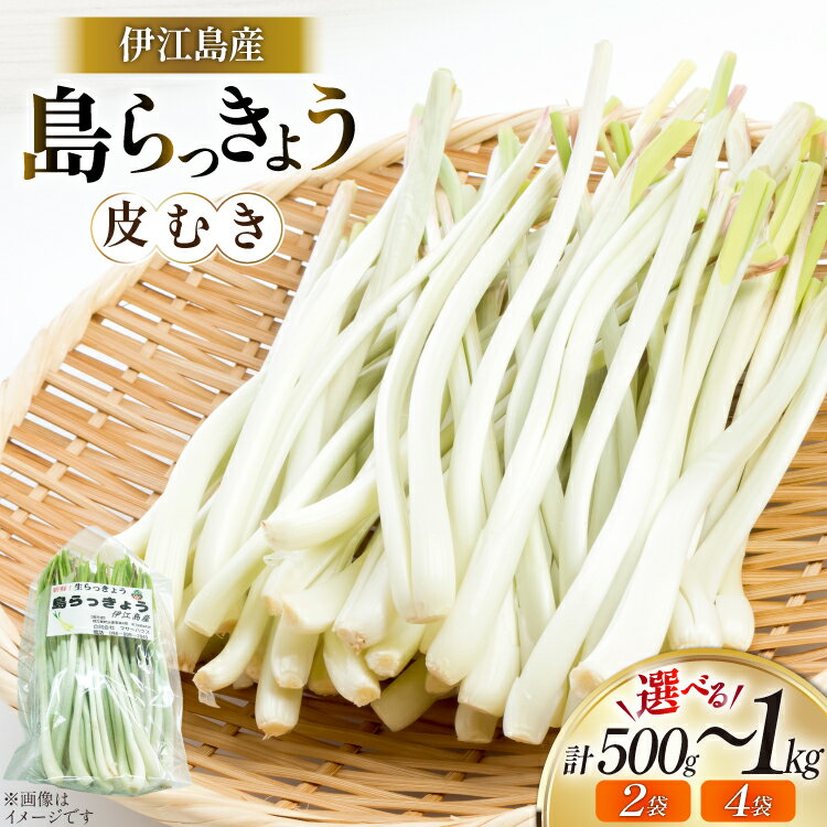 【ふるさと納税】 【期間限定発送】 島らっきょう 生 皮むき 選べる内容量 250g 2袋 計 500g or 4袋 計 1kg [ミュージアム 沖縄県 伊江村 ie47bde230013] 沖縄 おつまみ らっきょう 国産
