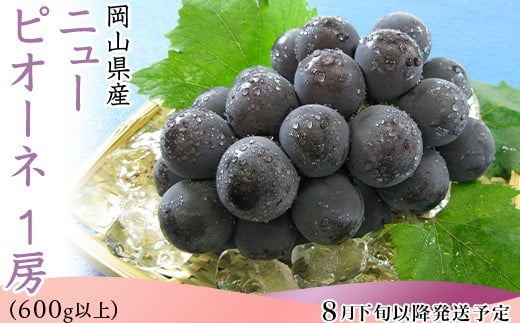 
            74-11 ニューピオーネ1房（600g以上）【2025年8月下旬～9月下旬頃発送予定】
          