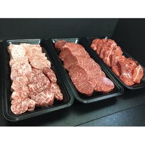 【毎月定期便】八雲牛　焼肉600g・サーロイン540g全2回_牛肉 定番 牛肉 大人気 牛肉 こだわりの 牛肉 おいしい 牛肉 美味しい 牛肉 家庭 牛肉 家族 ファミリー 牛肉 お弁当 牛肉 食卓 牛肉 夕飯 牛肉 国産 牛肉 八雲町 牛肉 八雲牛 牛肉 北海道 牛肉 道南 牛肉 焼肉 定番 焼肉 大人気 焼肉 こだわりの 焼肉 おいしい 焼肉 美味しい 焼肉 家庭 焼肉 家族 ファミリー 焼肉 お弁当 焼肉 食卓 焼肉 夕飯 焼肉 国産 焼肉 八雲町 焼肉 八雲牛 焼肉 北海道 焼肉 道南 焼肉 サーロ