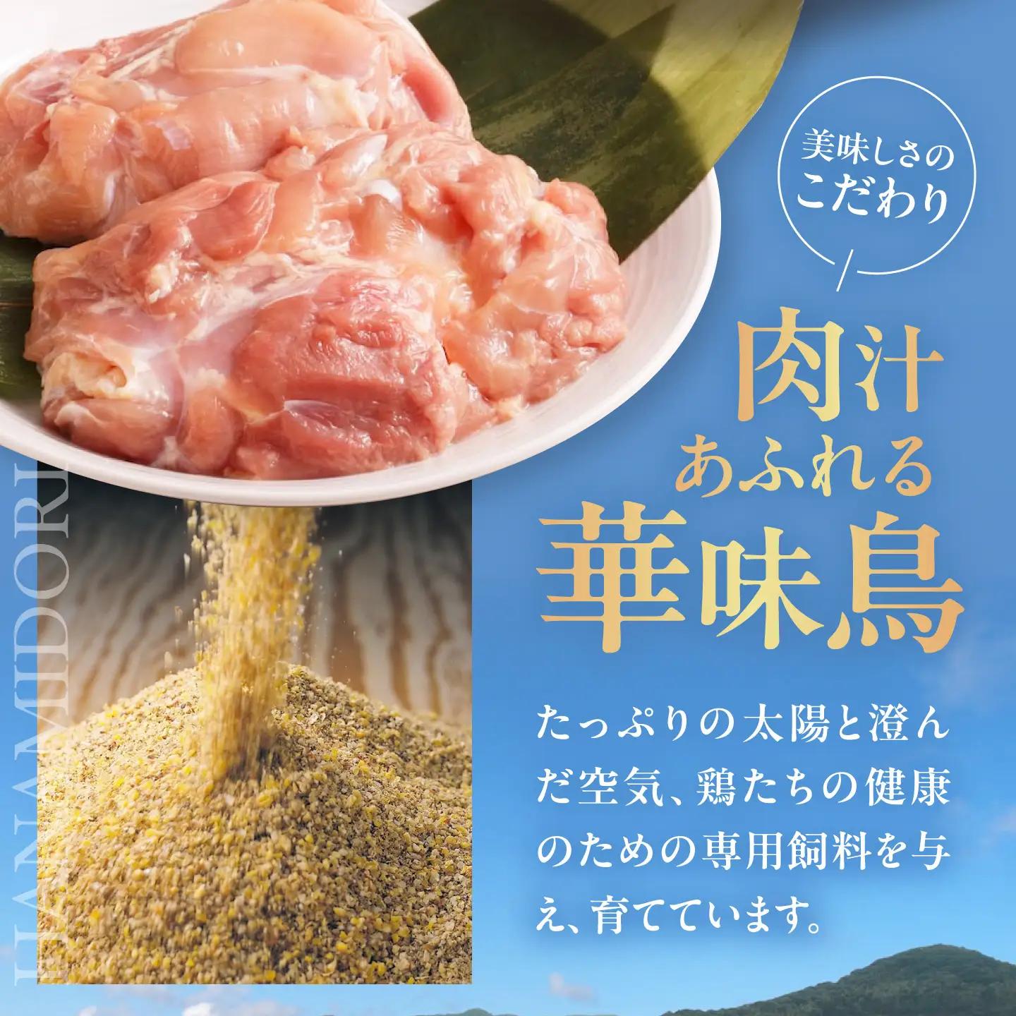 【カレー】博多華味鳥 カレー（6食）手羽元 チキン キーマ[AGDT006]