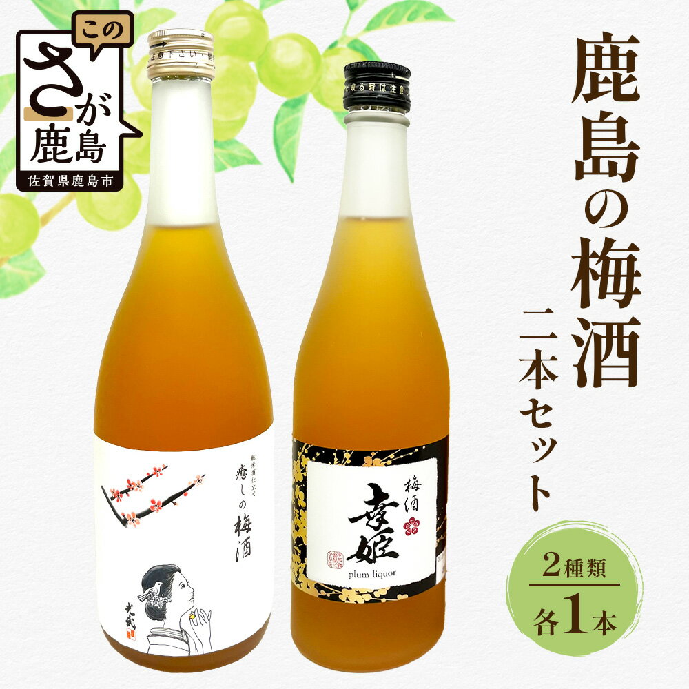 【ふるさと納税】＼癒しのひとときに♪／鹿島の梅酒2本セット｜光武 癒しの梅酒720ml＋幸姫梅酒500ml(パリ・クラマスター2024 ゴールドメダル受賞)｜果肉感たっぷり＆爽やかな酸味｜梅酒好きに人気｜佐賀県鹿島市 送料無料 B-811