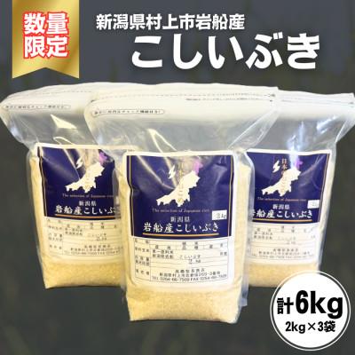 ふるさと納税 村上市 新米【数量限定】【令和7年産米】新潟県村上市岩船産 こしいぶき 精米6kg　1099001