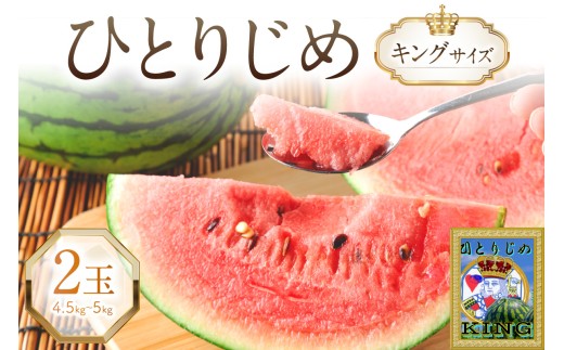 やまの農園 「ひとりじめ」キングサイズ 2玉≪先行予約≫【2027年6月中旬より順次発送予定】