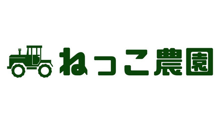 ねっこ農園の手間なしパパッと！乾燥刻みネギ ３０g×３パック