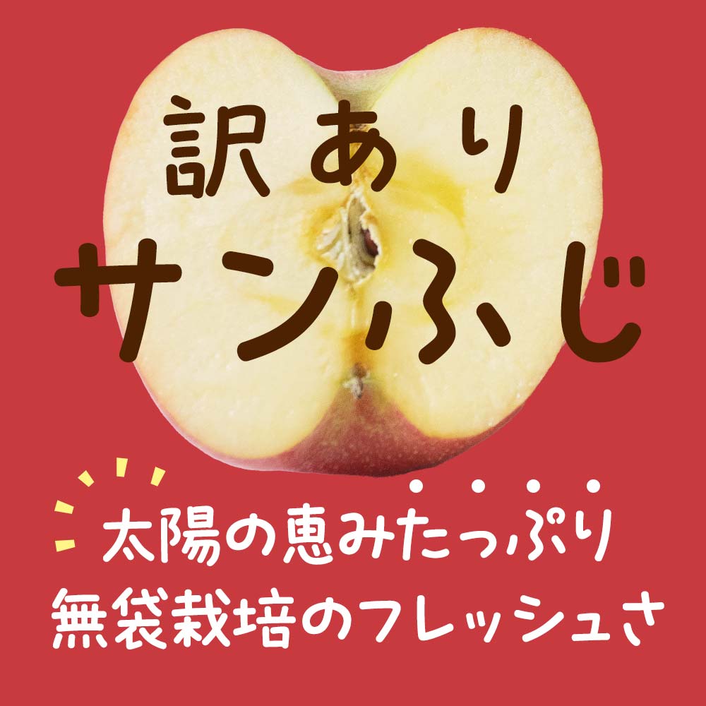 【令和6年産先行予約】 〈訳あり品 家庭用〉 りんご 「サン