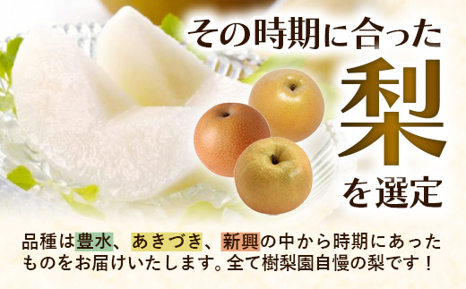 ＜品種おまかせ＞季節の梨 約5kg(10～16玉入り) 豊水 秋月 新興【梨 なし ナシ ほうすい あきづき しんこう フルーツ 果物 果実 旬 贈答 ギフト おすすめ 人気 おまかせ 福岡県 筑前町
