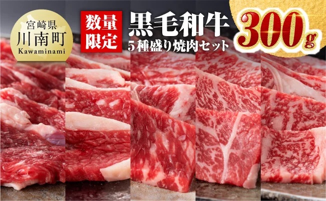 【令和7年4月発送】黒毛和牛5種盛り焼肉セット（数量限定）300g　肉牛肉国産牛肉宮崎県産牛肉牛黒毛和牛牛ミヤチク牛肉BBQ牛肉バーベキュー送料無料牛肉牛肉 [D0637r704]