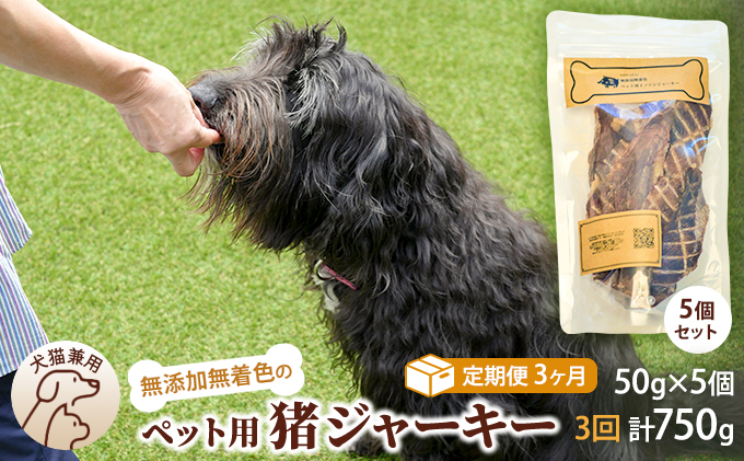 
（３回定期便）千葉県で獲れた猪ペット用ジャーキー(５個セット）２５０g [№5346-0354]
